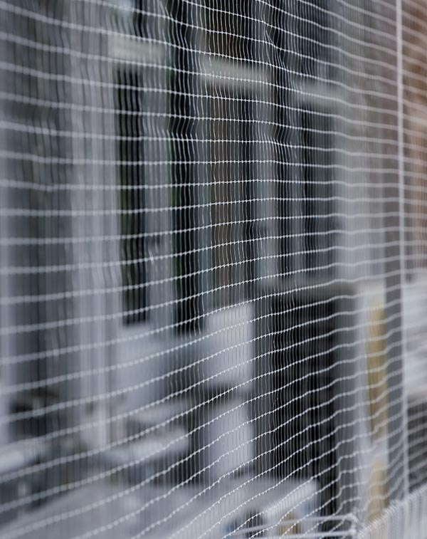 Bird netting installed on Edmonton apartment balcony