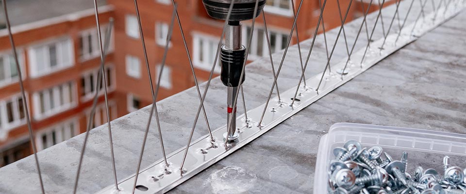 Bird spikes installed on Calgary commercial rooftop