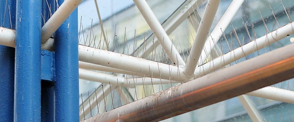 Bird control system protecting the rafters of an industrial warehouse