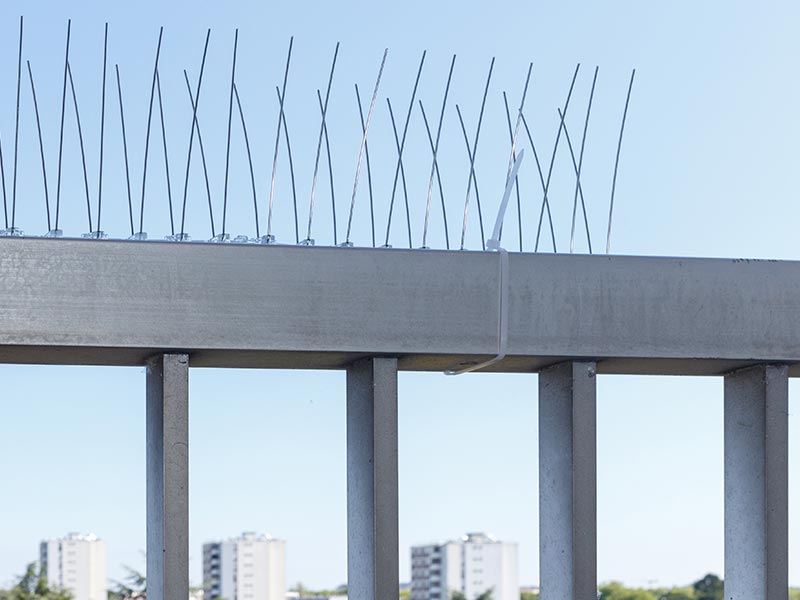 Bird spikes installed along an exterior balcony ledge